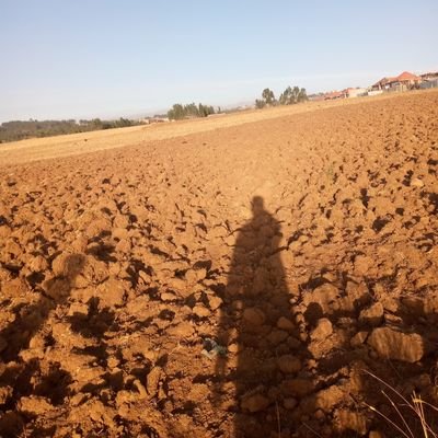 androiduser573's profile picture. Student