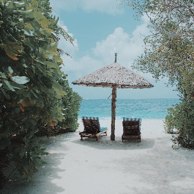 wang_ch's profile picture. Software Engineer