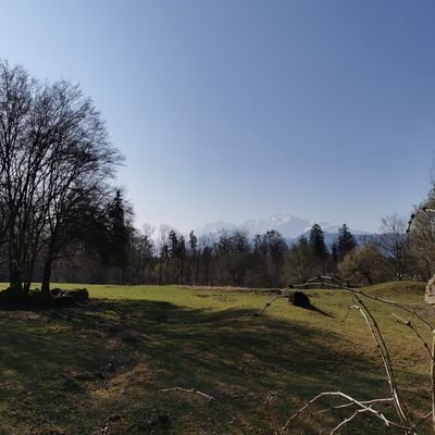 Elena217K's profile picture. 