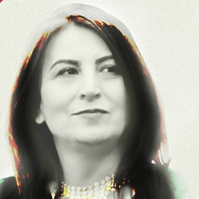 Aysel Tuğluk ve Hasta Mahpuslara Özgürlük Platformu İzmir'in twitter hesabıdır.