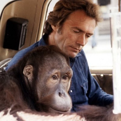 ChillWill828's profile picture. UltraMaga, Constitutional conservative, America First Trump supporter, prolife, I stand with Israel. love the outdoors, motorcycles and the beach.