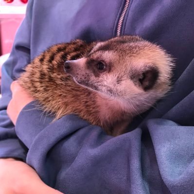 pokerpoker_77's profile picture. 医学部医学科6回生/ポーカー/観葉植物