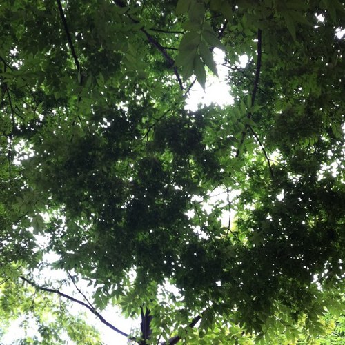 mineunjun's profile picture. love minjjuns . fashion designer . rock & roll . dreams again . music . photo. orange juice . fresh shock