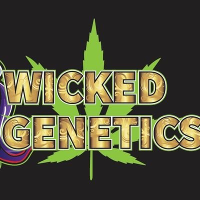 WickedGenetics Profile Picture