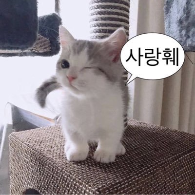 JMJNMN's profile picture. 