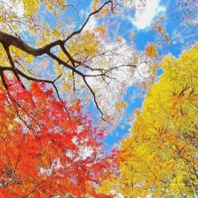 Ruka_teatime77's profile picture. 🌈🕒/18↑