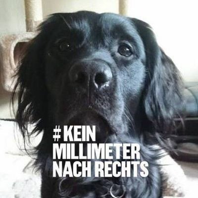 IT-Professional, genieße den Un-Ruhestand. Geimpft.
Depression ist Mist. #nazisraus #WirSindMehr
https://t.co/3BWGLALK4A