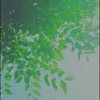 온새미로 (@udanbi2) 's Twitter Profile