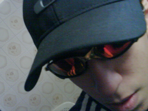 KoalaCity's profile picture. 