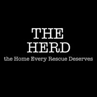 THE HERD HOUSE(@TheHerdHouse) 's Twitter Profileg