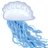 2w2w_jellyfish
