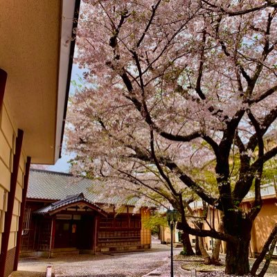 YS20359's profile picture. cit E ³/サバゲーサー所属/FPSしたい