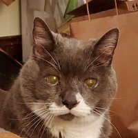 Eshka 🌈 (@babyboyeshka) 's Twitter Profile Photo