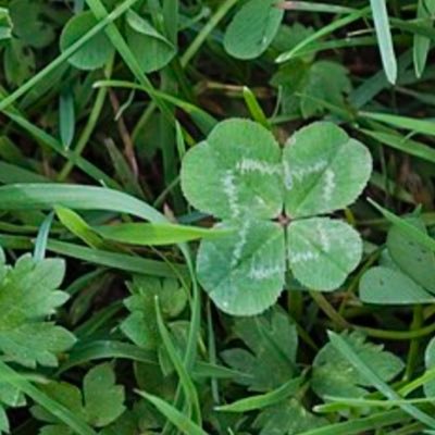 Laetitia_D_36's profile picture. 😁 positive et singulière 🍀