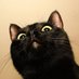 くろねこ／ADHD＆ASD児👦(8y） (@neropippi) Twitter profile photo