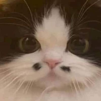 leeeeさんのプロフィール画像