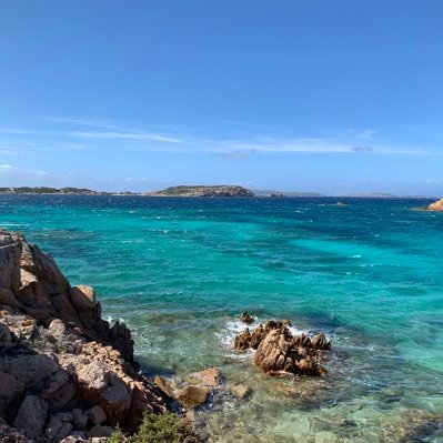 mrc_stf's profile picture. 