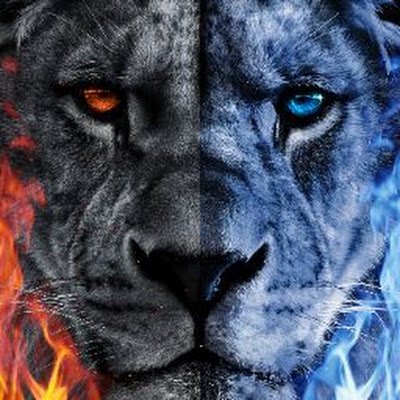 MetinAslan4424's profile picture. 