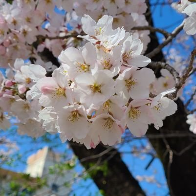 vFfyyq9xbM3e8FV's profile picture. むーらかみ、むーらかみ、むーらかみ