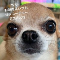ricky 🛸(@yumyumyoshi) 's Twitter Profile Photo