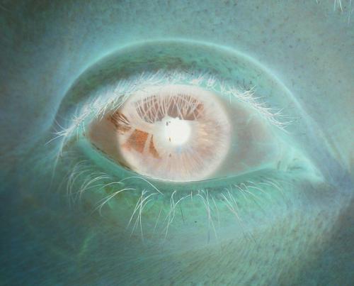 Skido1's profile picture. these are the random thoughts that the wind brings my way...