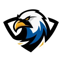 ERAU Esports (@erauesports) 's Twitter Profile