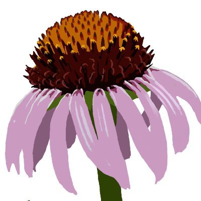 @TeamEchinacea