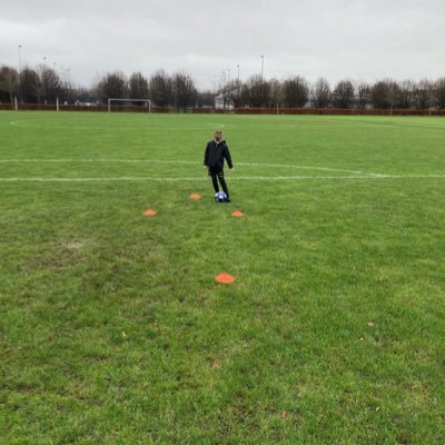 stevieX8's profile picture. 