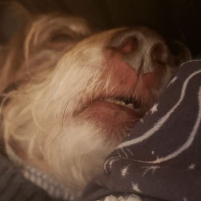 angie_m31's profile picture. 28 and screaming into the abyss