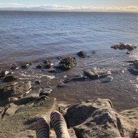 SaraD (@saradut19753131) 's Twitter Profile Photo