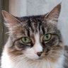 tracyweiland3's profile picture. 