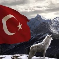 Ytl_52 (@52ytl) 's Twitter Profile Photo