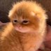 Nant (@lenessia3) Twitter profile photo Nant (@lenessia3) Twitter profile photo