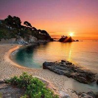 Nuria VjF (@nuriavjf) 's Twitter Profile