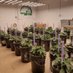 DestinyFarms (@destinyfarmsllc) Twitter profile photo DestinyFarms (@destinyfarmsllc) Twitter profile photo