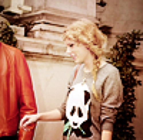 TaylorSwifticle's profile picture. I like Panda Bears. :)