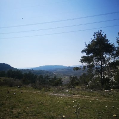 AYS967's profile picture. 