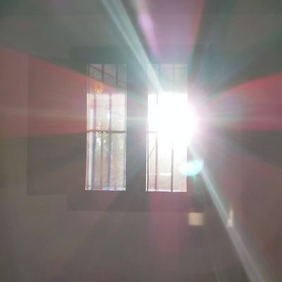 kh5309's profile picture. Ex-librarian in that world...