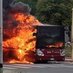 Flambo il Flambus 🔥🚌🔥 (@odioatac) Twitter profile photo Flambo il Flambus 🔥🚌🔥 (@odioatac) Twitter profile photo
