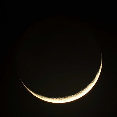 Mio⁷🌕 Profile