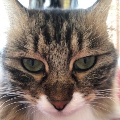 2C3c6YNDxl2BsTz's profile picture. 湖に住んでいる