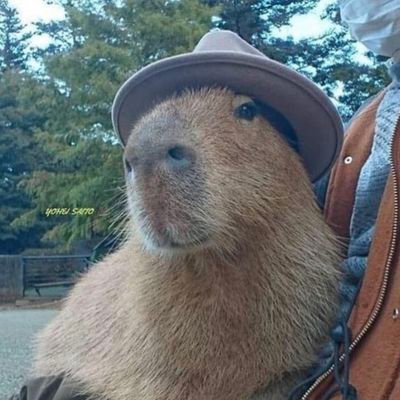 Jake Profile