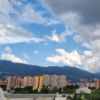 DgarcesDavid's profile picture. 