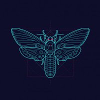 Nawaf (@0xnawaf1) 's Twitter Profile Photo