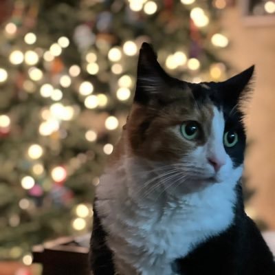 LauraLaura0811's profile picture. 