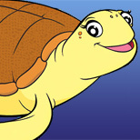 I'm a loggerhead sea turtle, and I love to have adventures