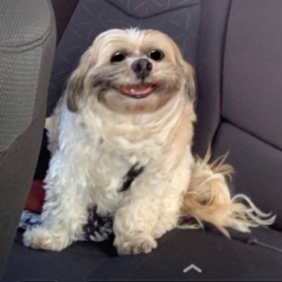 Guywhocankckflp's profile picture. ill ask my mom