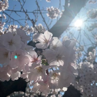 福山多朗さんのプロフィール画像