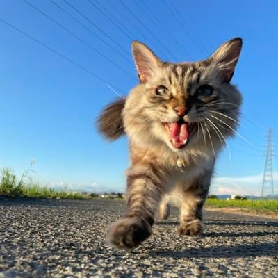 小学生の時からずっと藤井フミヤさんのファンです。
恋つづで 佐藤健さん大好きになりました。まだ3月からTwitterを始めたくさんのお仲間に出会え日々楽しんでます。
これからもよろしくお願いします💞
注意!副業案内の方のフォローはブロックします。