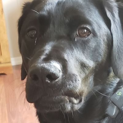 kdroper70's profile picture. 